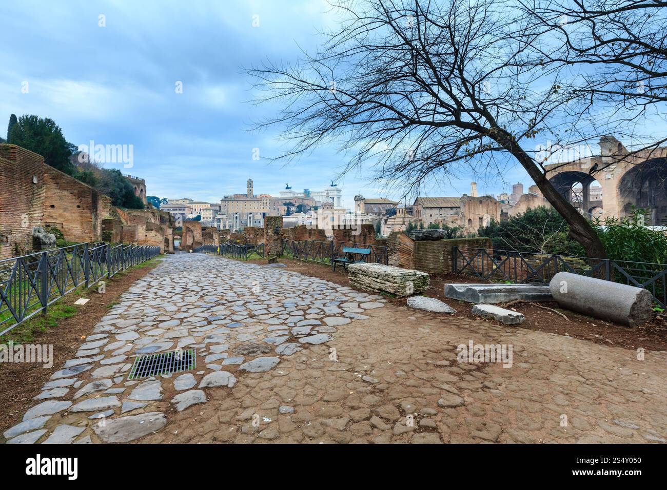 Ruinen des Forum Romanum in Rom, Italien. Stockfoto