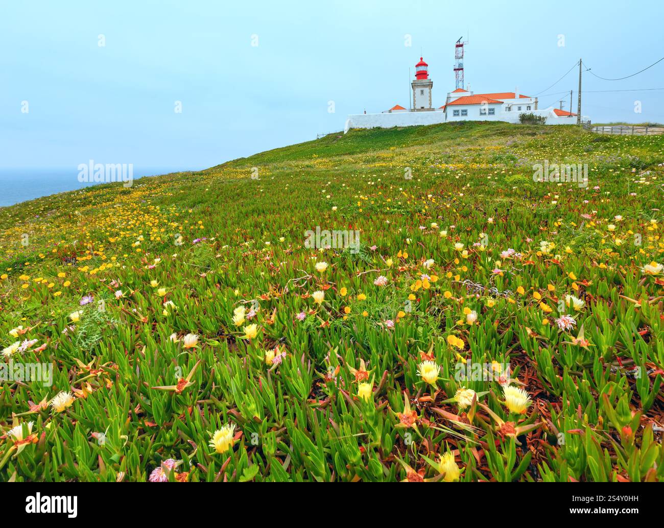 Sommer blühenden Cape Roca (Cabo da Roca) mit Blumen und Leuchtturm, Portugal. Stockfoto
