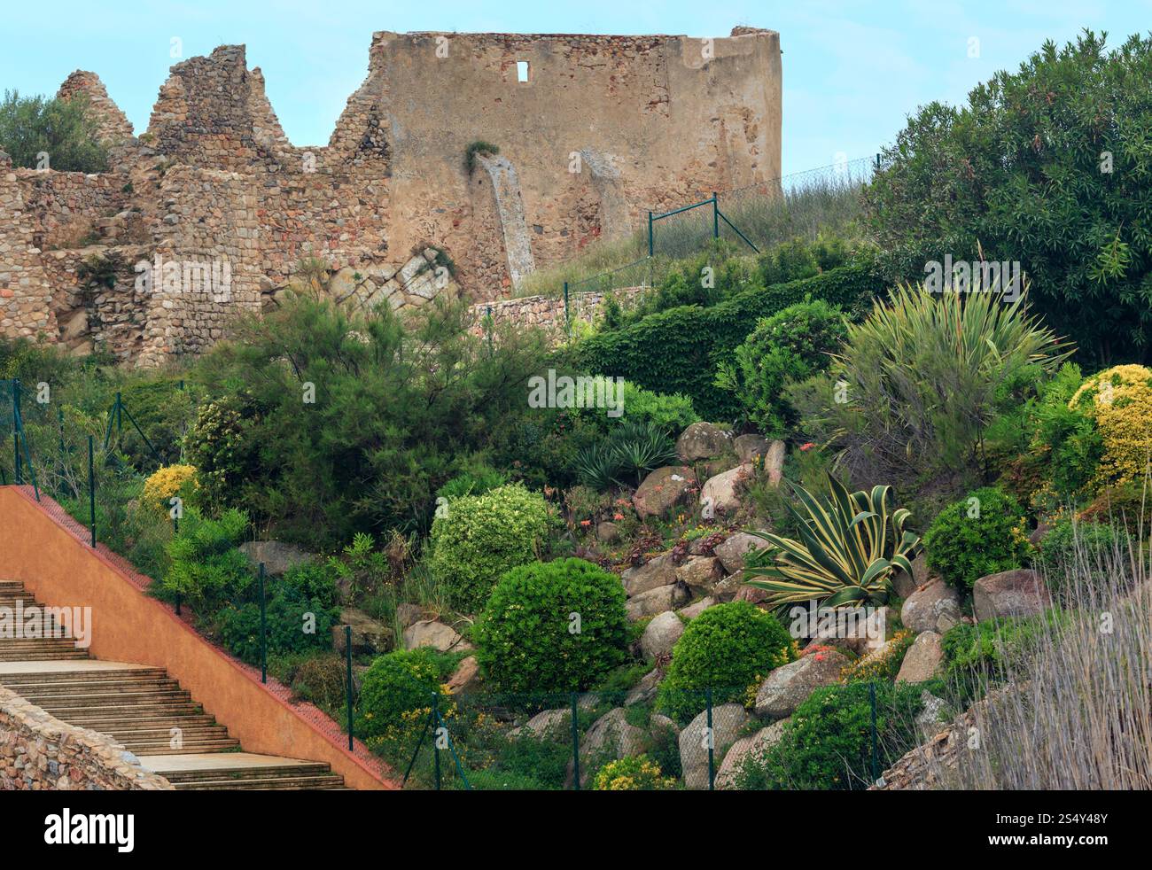 Ruinen und Pflanzen der Burg Sant Esteve de Mar, Palamos, Girona, Costa Brava, Spanien. Stockfoto