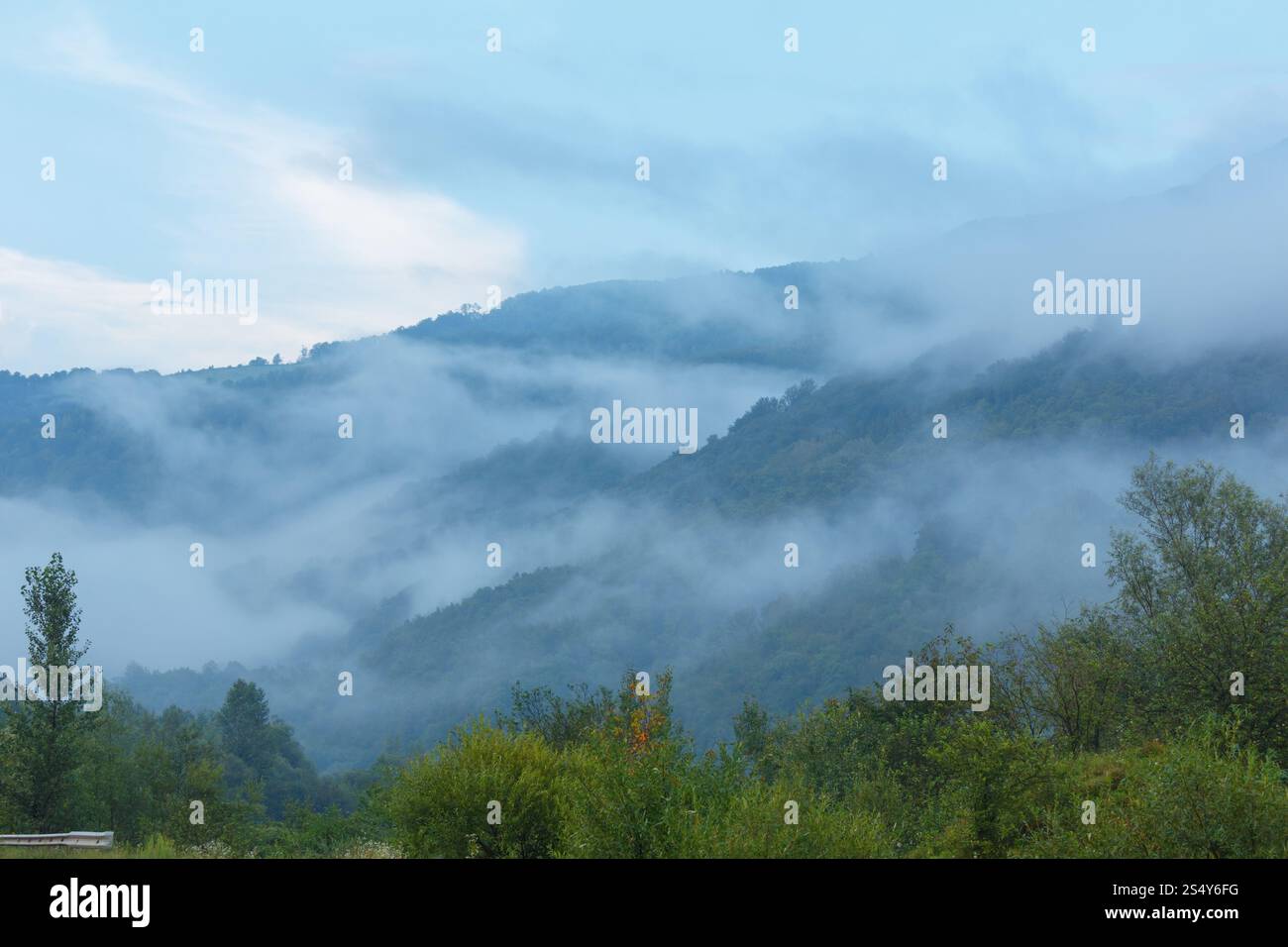 Am Abend Nebel über Sommer Berg (Karpaten, Lviv Oblast, Ukraine). Stockfoto