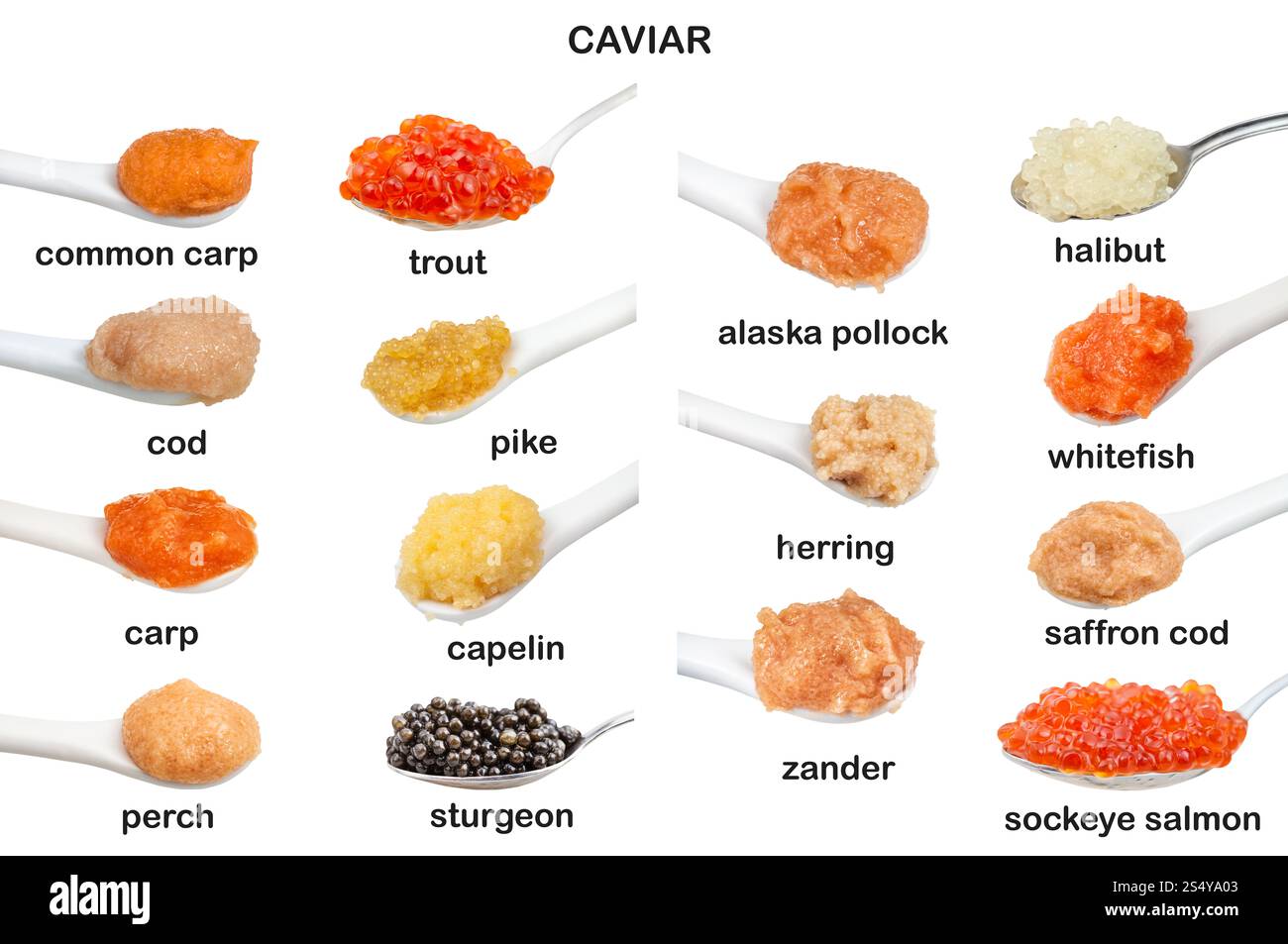 Set aus Löffel mit verschiedenen eingelegten Kaviar mit Namen isoliert auf weißem Hintergrund Stockfoto