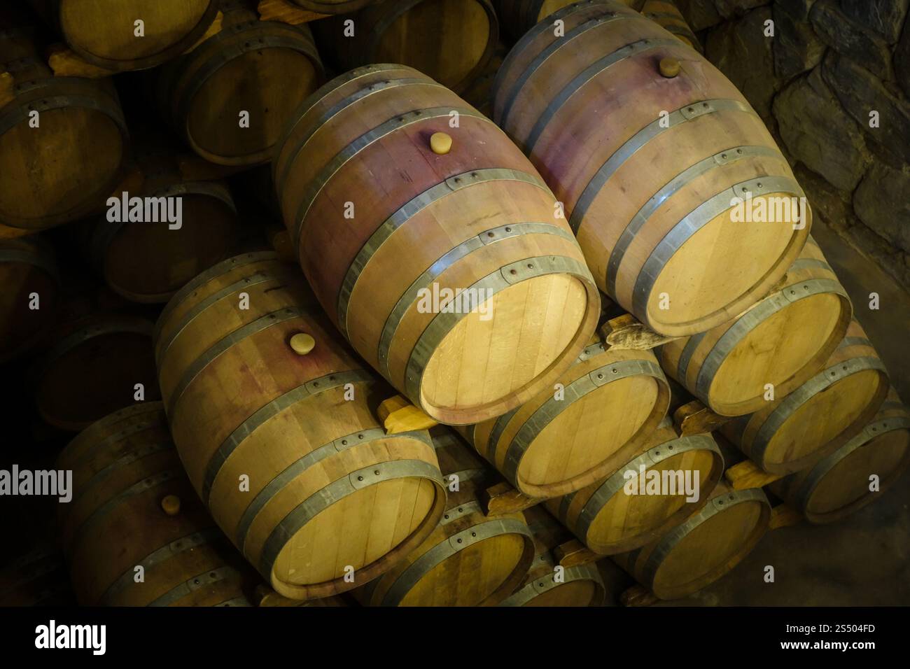 Reihen von Holzweinfässern in einer alten Weinkellerhöhle. Holzweinfässer in einem Weingut Stockfoto
