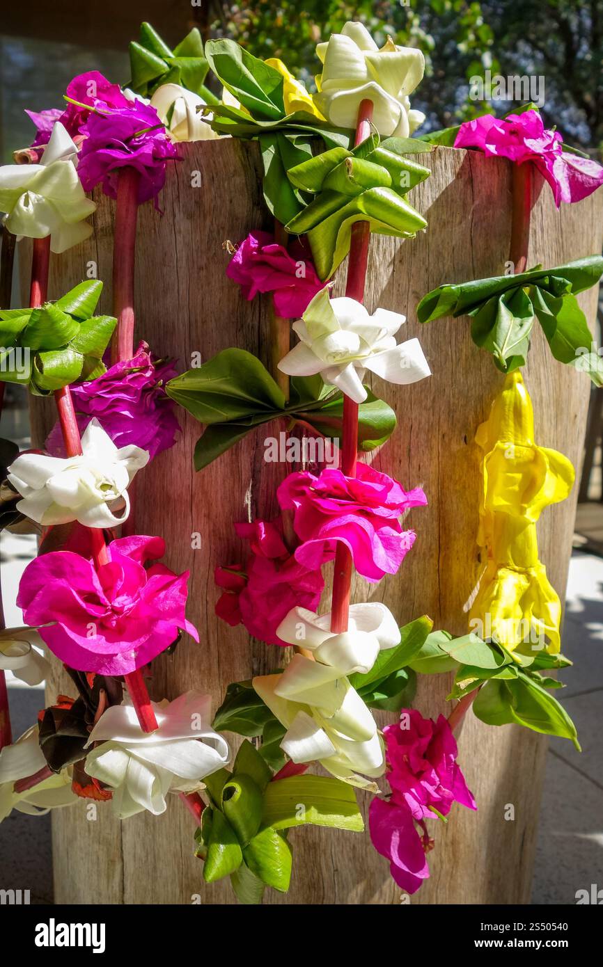 Traditionelle polynesische Blumenkette auf hölzernem Hintergrund. Polynesische Blumenkette Stockfoto