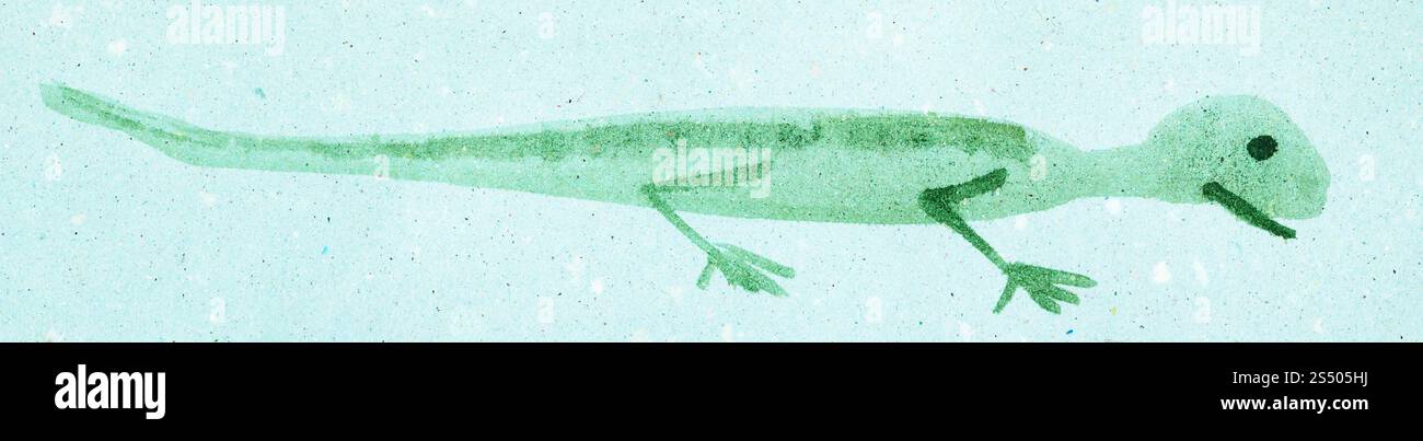 Ausbildung im Suibokuga Stil mit Aquarellfarben - grüne Eidechse auf blau farbigem Papier zeichnen Stockfoto