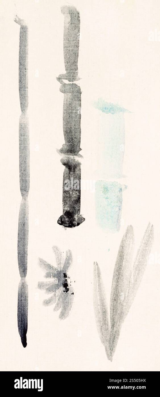 Ausbildung im Suibokuga Stil mit Aquarellfarben - Skizzen von Schilf auf Elfenbein farbigem Papier zeichnen Stockfoto
