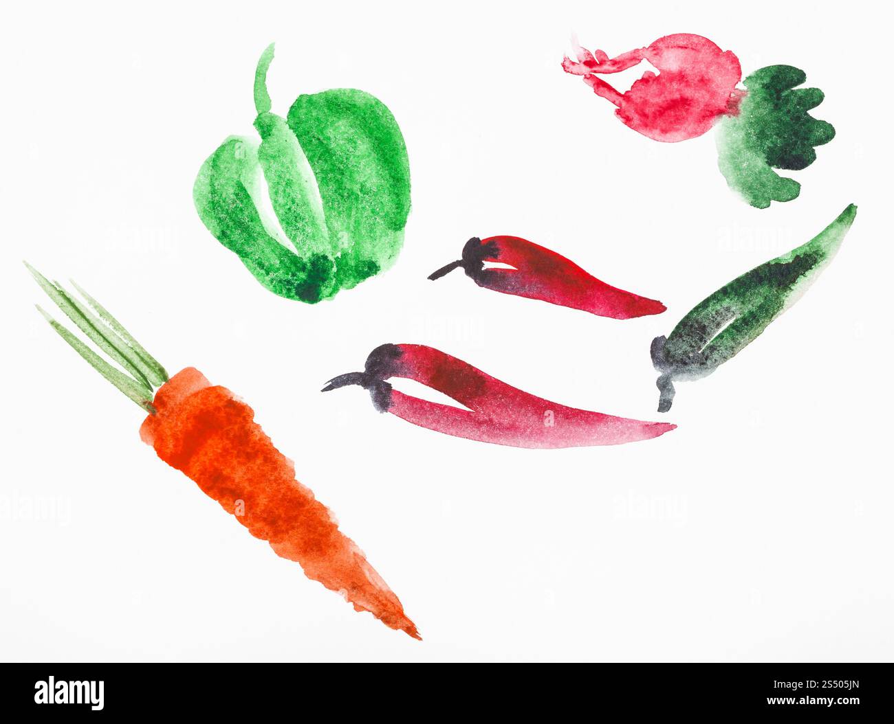 Ausbildung im Suibokuga Stil mit Aquarellfarben - Frischgemüse auf weißem Papier zeichnen Stockfoto