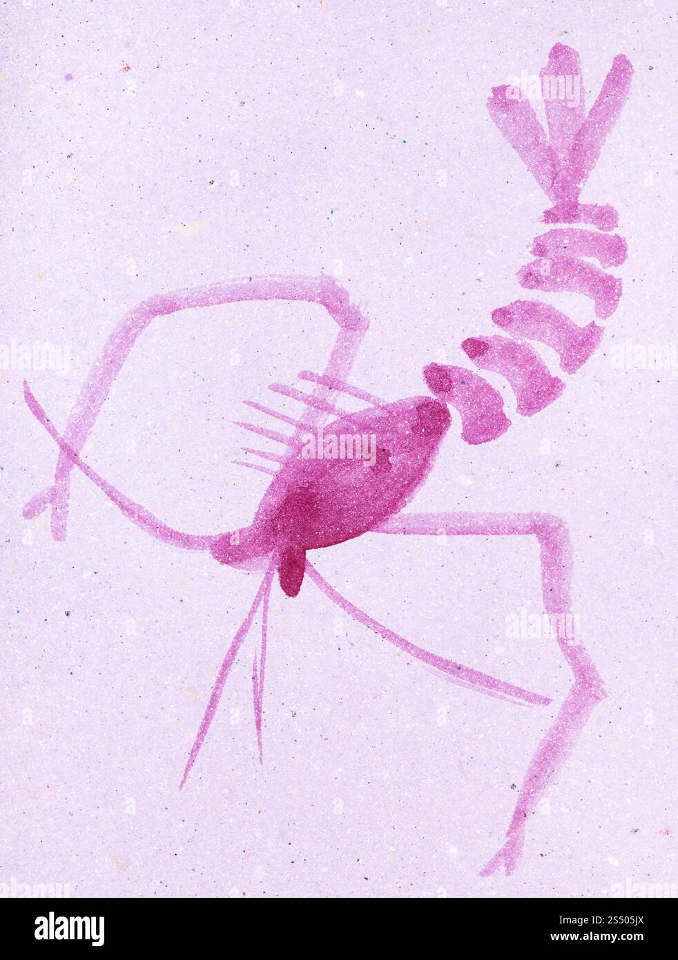 Ausbildung im Suibokuga Stil mit Aquarellfarben - Garnelen auf rosa farbigem Papier zeichnen Stockfoto