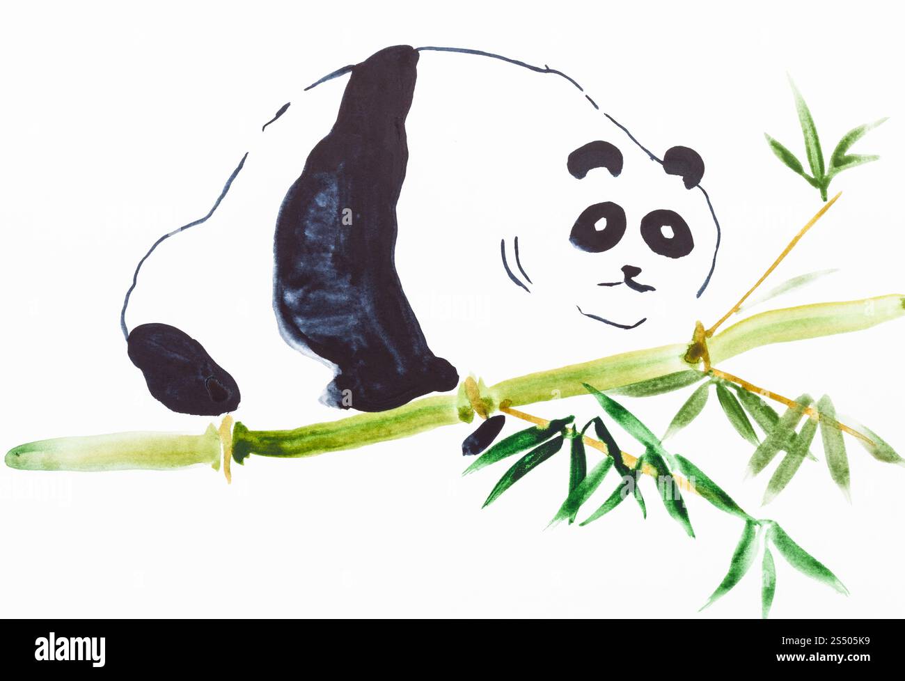 Ausbildung im Suibokuga Stil mit Aquarellfarben - Panda auf Bambusstamm auf weißem Papier zeichnen Stockfoto