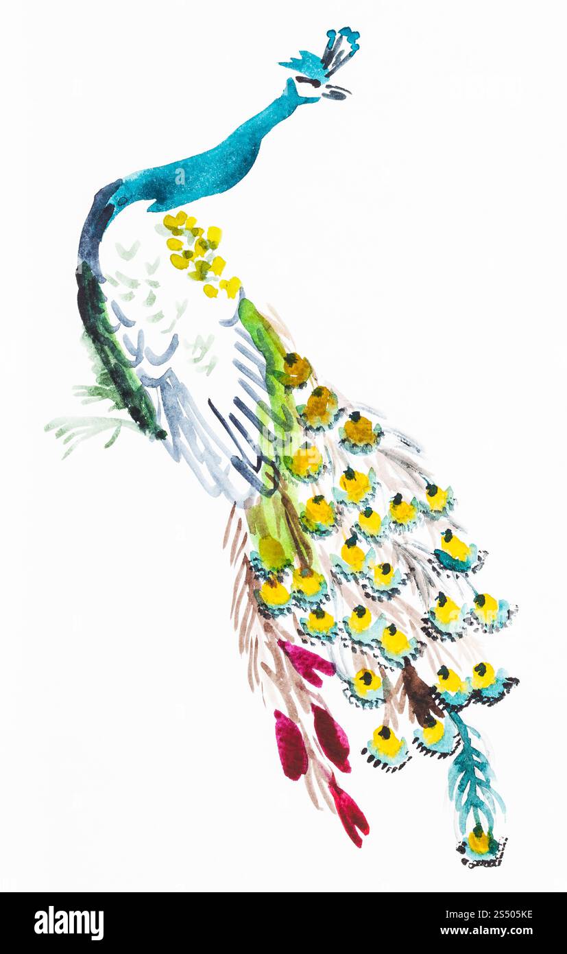 Ausbildung im Suibokuga Stil mit Aquarellfarben - Pfau auf weißem Papier zeichnen Stockfoto