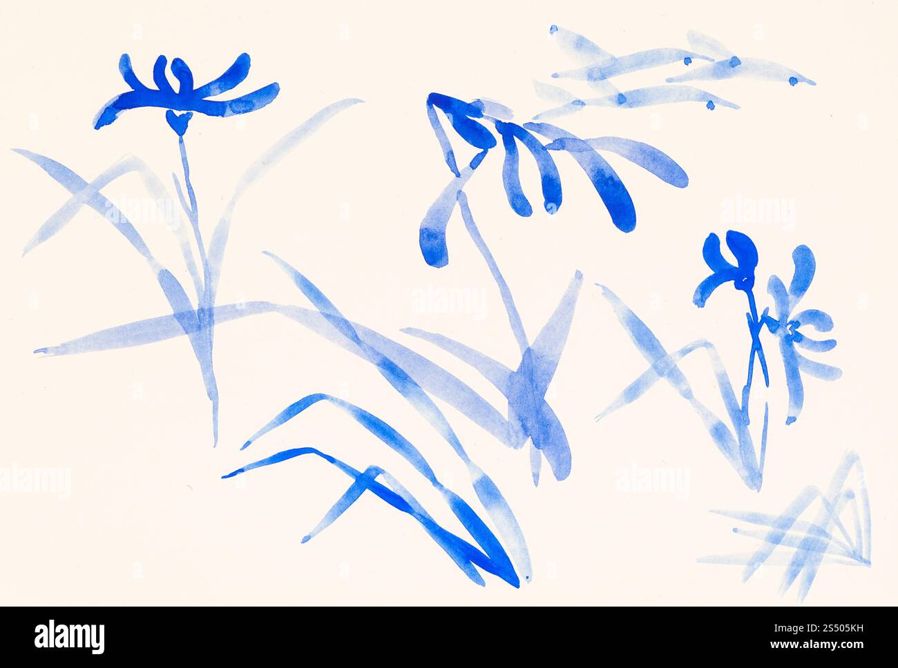 Ausbildung im Suibokuga Stil mit Aquarellfarben - Skizzen der blauen Blumen auf Elfenbein farbigem Papier zeichnen Stockfoto