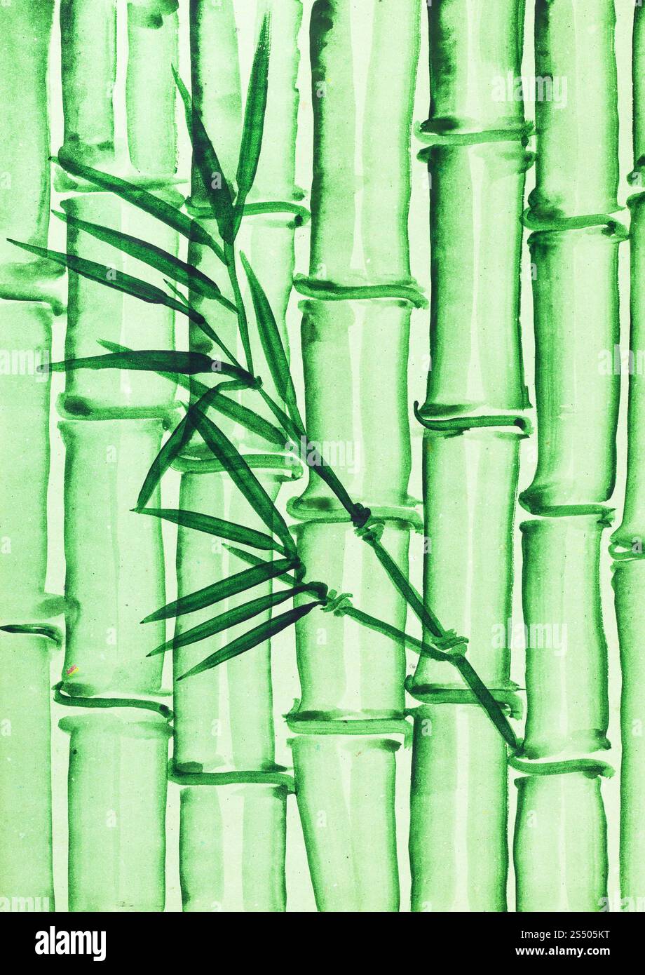 Ausbildung im Suibokuga Stil mit Aquarellfarben - Bambushain auf grünem Tonpapier zeichnen Stockfoto
