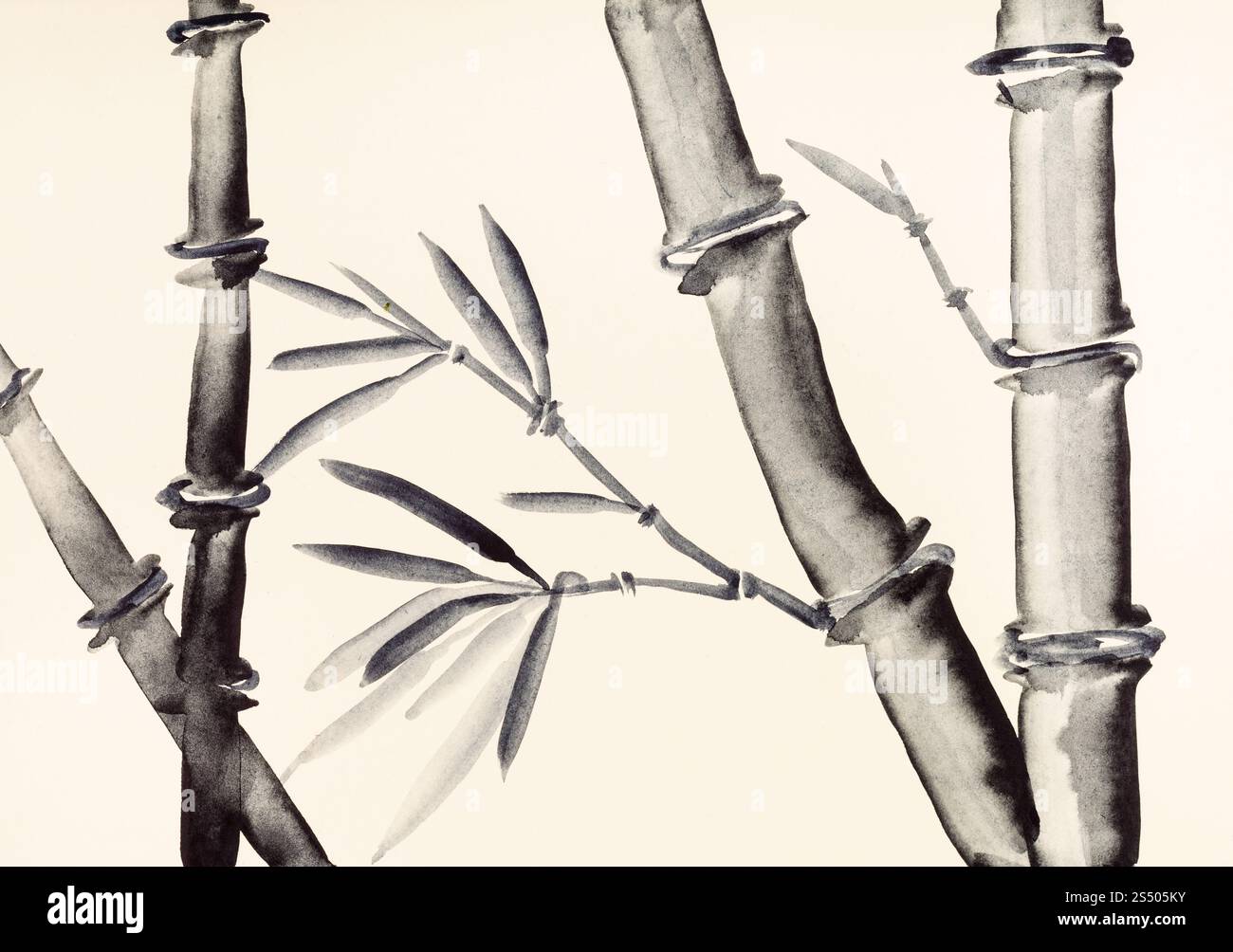 Ausbildung im Suibokuga Stil mit Aquarellfarben - Bambus Stämme auf Elfenbein farbigen Papier zeichnen Stockfoto