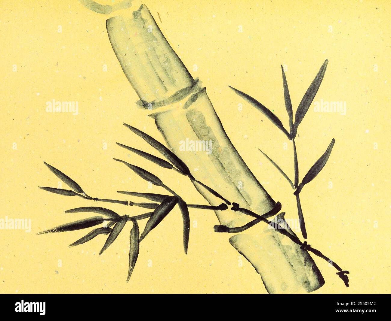 Ausbildung im Suibokuga Stil mit Aquarellfarben - Zuckerrohr-Stamm auf gelben Tonpapier zeichnen Stockfoto