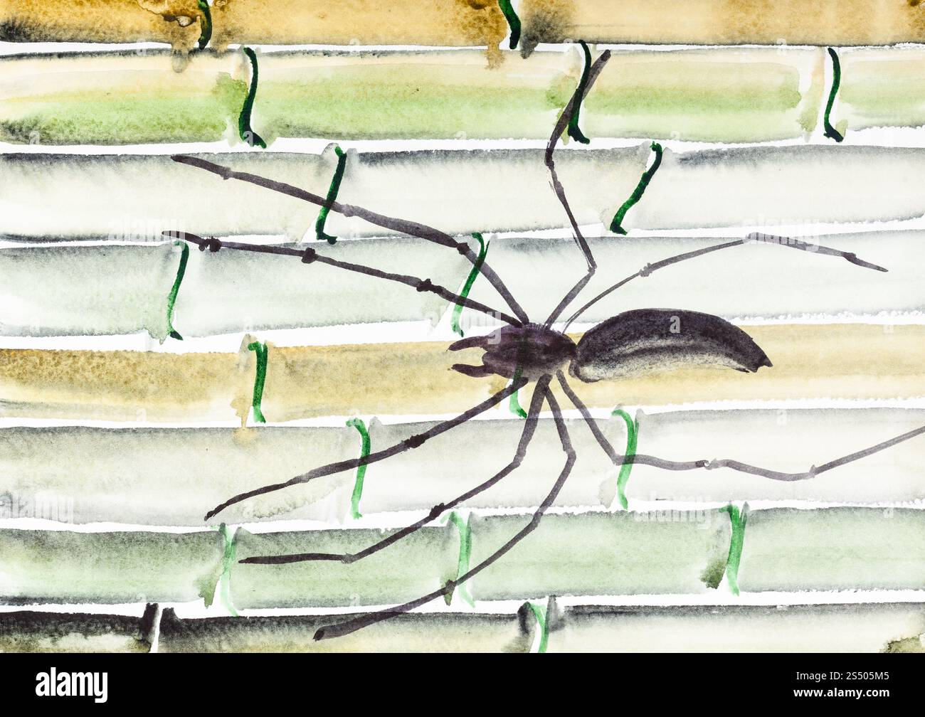Ausbildung im Suibokuga Stil mit Aquarellfarben - Spinne auf Bambus Stämme auf weißem Papier zeichnen Stockfoto