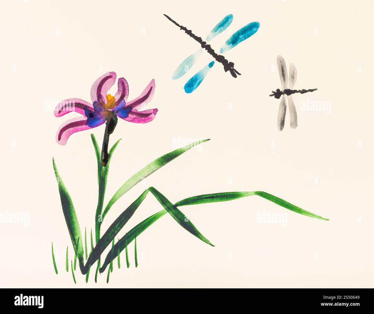 Ausbildung im Suibokuga Stil mit Aquarellfarben - zwei Libellen über Iris Blume auf der Wiese im Sommer auf Elfenbein farbigem Papier zeichnen Stockfoto
