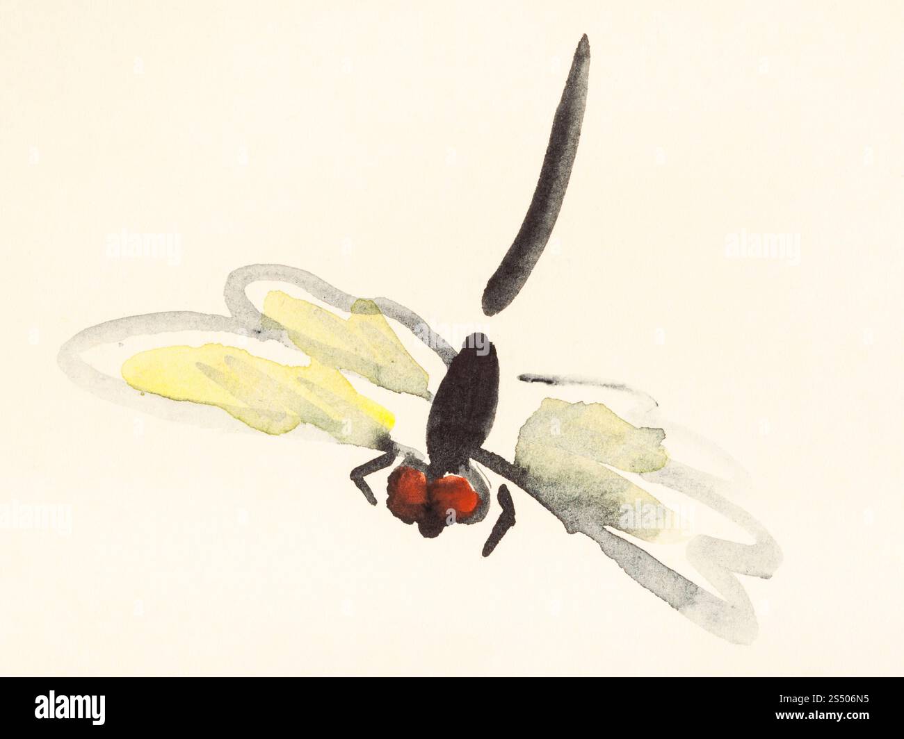 Ausbildung Zeichnung in suibokuga Sumi-e Stil mit Wasserfarben - fliegende Libelle hand auf cremefarbenem Papier gemalt Stockfoto