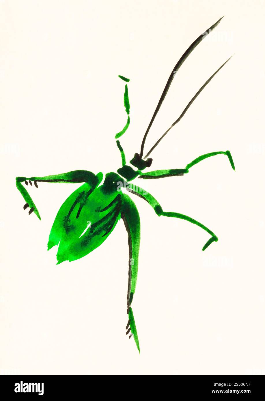 Ausbildung Zeichnung in suibokuga Sumi-e Stil mit Wasserfarben - Grüne Heuschrecke hand auf cremefarbenem Papier gemalt Stockfoto