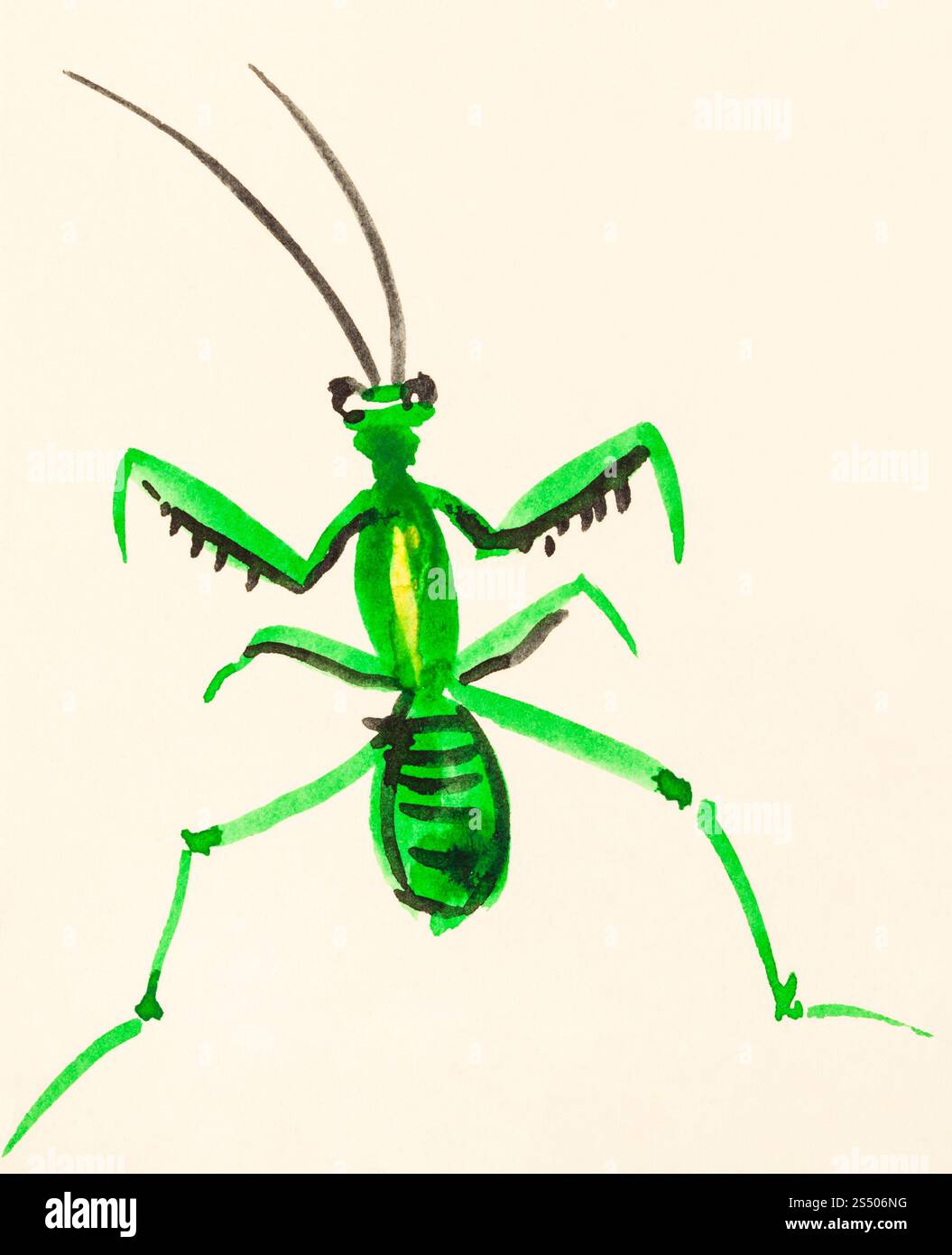 Ausbildung Zeichnung in suibokuga Sumi-e Stil mit Wasserfarben-Mantis auf cremefarbenem Papier gemalt Stockfoto