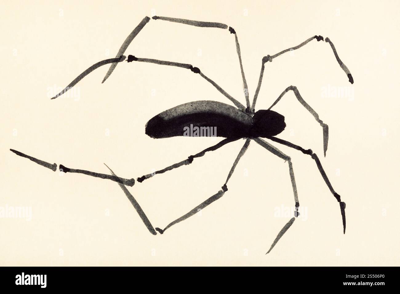 Ausbildung Zeichnung in suibokuga Sumi-e Stil mit Wasserfarben - Spider auf cremefarbenem Papier gemalt Stockfoto