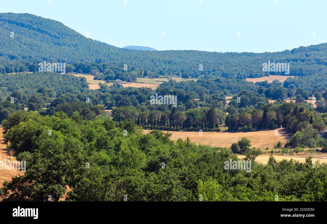 Schöne Landschaft von Sommer Landschaft mit Hügeln, Weizenfeld, cupress und Wald Stockfoto