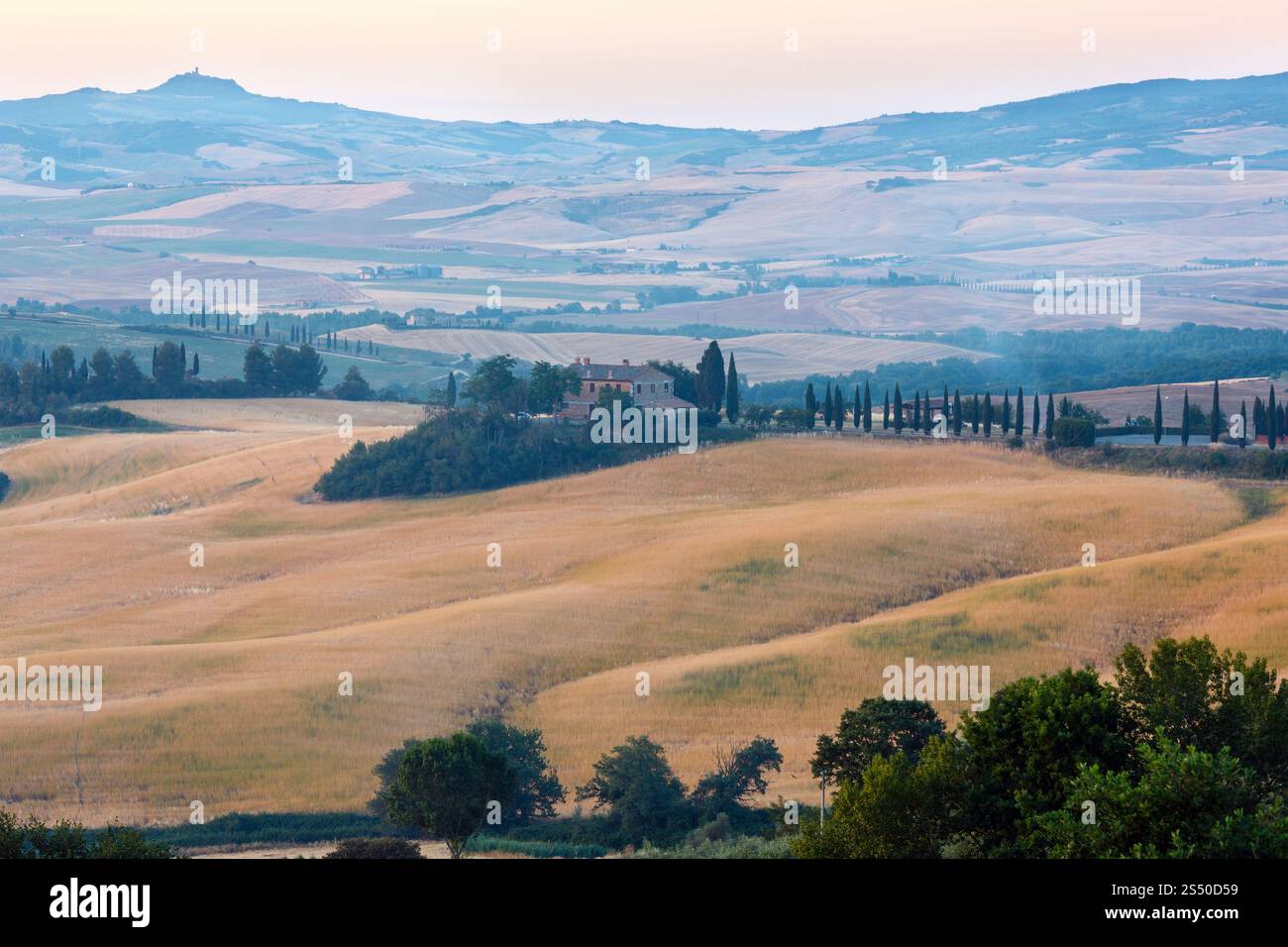Schönen Sonnenaufgang Landschaft der Sommer auf dem Land mit Weizen und Oliven Baum Stockfoto