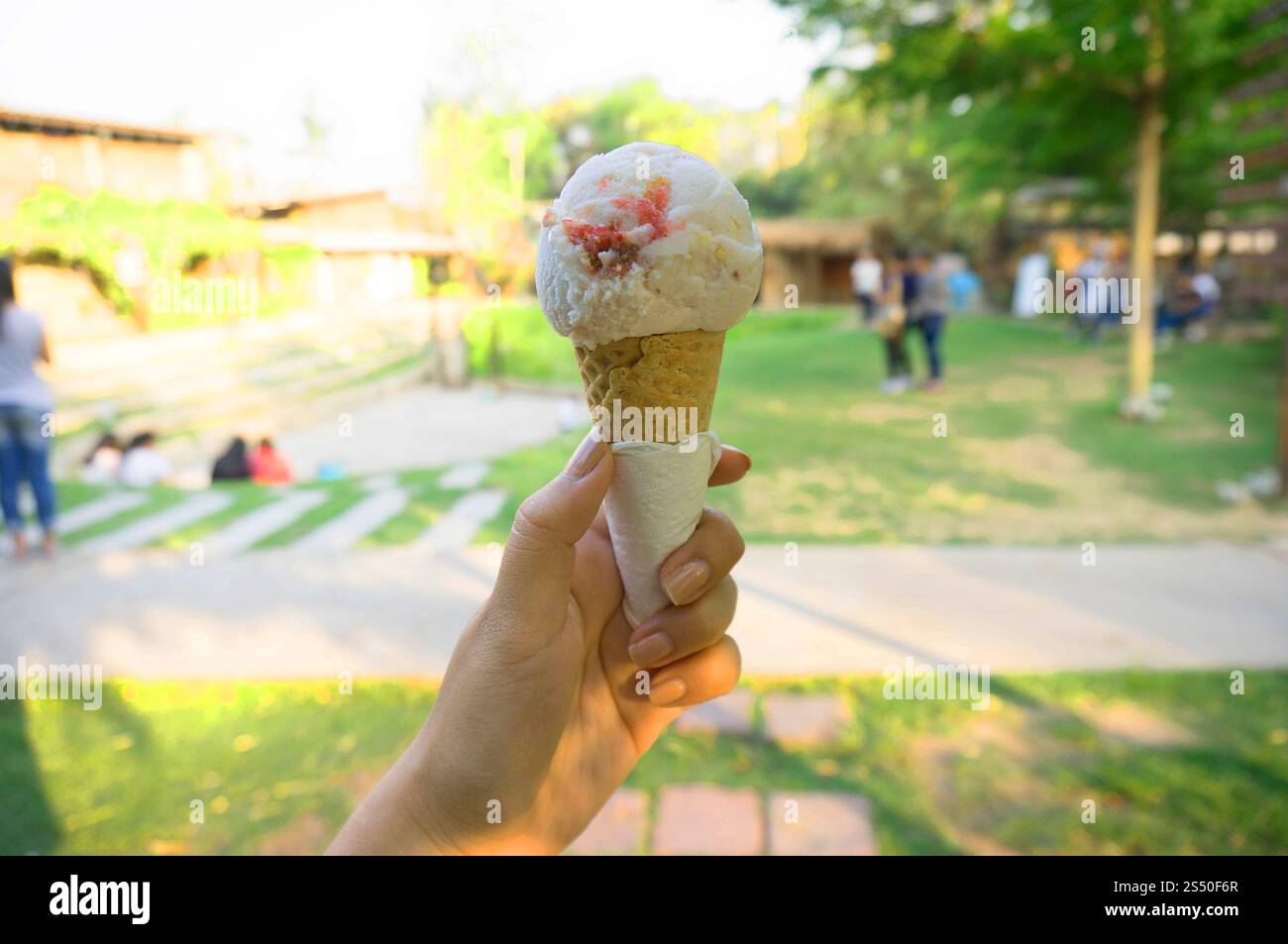 Die Hand der Frauen hält Waffelkegel mit Beeren-Eis. Stockfoto