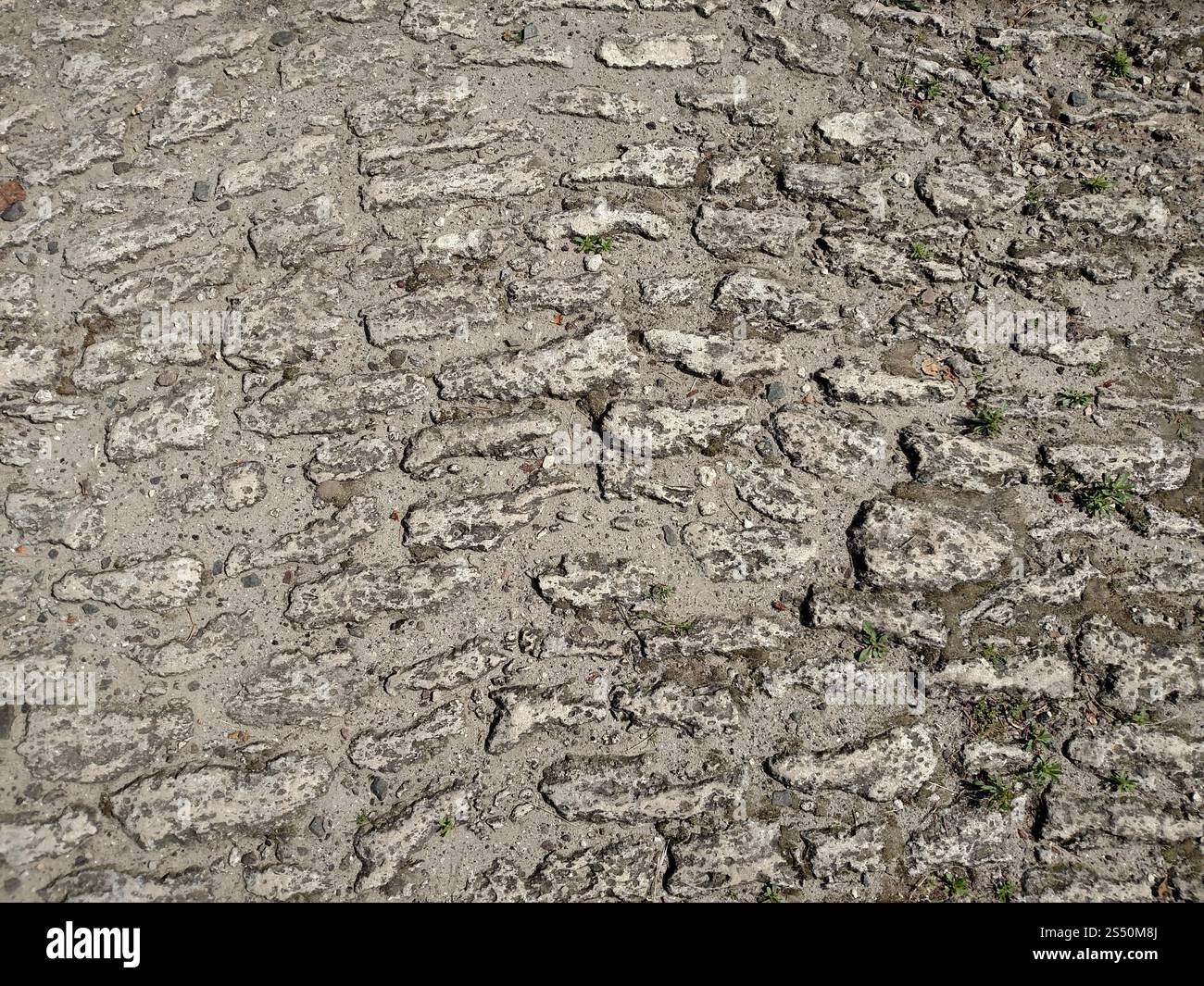 Die Straße aus dem felsigen Stein in der Stadt Dubno. Sommertag . Die Straße aus dem felsigen Stein in der Stadt Dubno. Sommertag . Für den Hintergrund. Stockfoto
