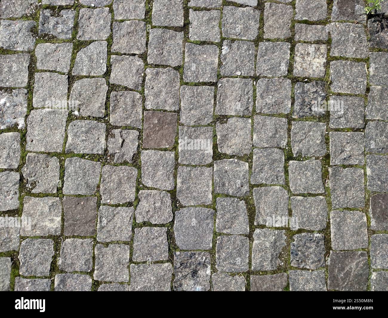Die Straße aus dem felsigen Stein in der Stadt Dubno. Stein der quadratischen Form. Sommertag . Die Straße aus dem felsigen Stein in der Stadt Dubno. Stockfoto