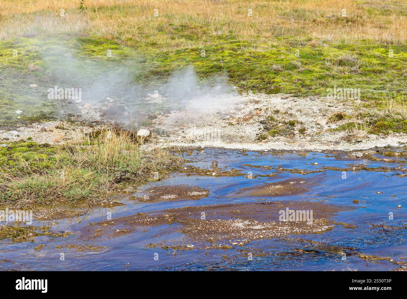 Reisen nach Island - heiße Quelle im Haukadalur Geysir Tal im September Stockfoto