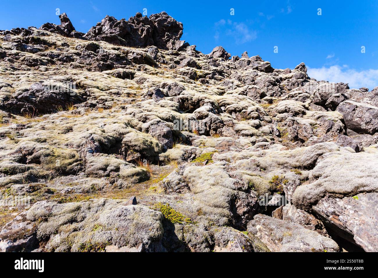 Reisen nach Island - Stein Berghang in Landmannalaugar Bereich Fjallabak Nature Reserve im Hochland von Island im September Stockfoto