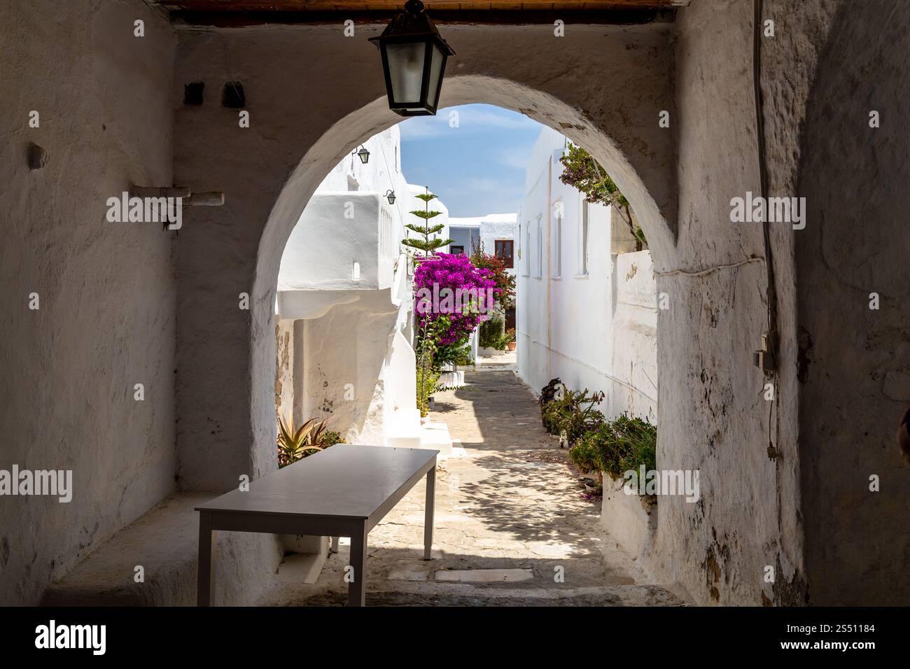 Die mediterrane Gasse mit weiß getünchten Wänden und der blühenden Bougainvillea, Mykonos, Griechenland Stockfoto