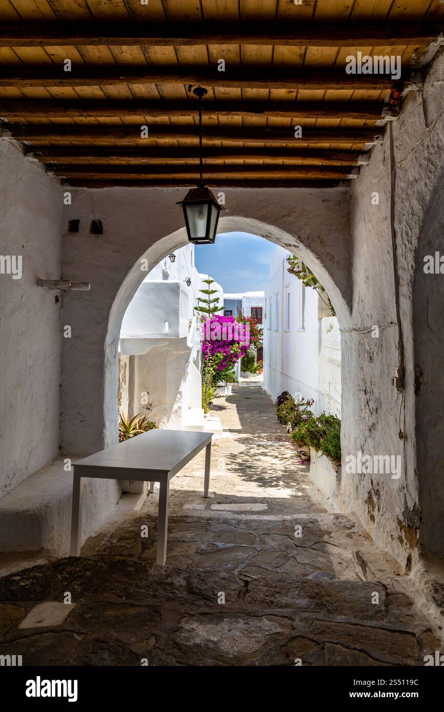 Die mediterrane Gasse mit weiß getünchten Wänden und der blühenden Bougainvillea, Mykonos, Griechenland Stockfoto