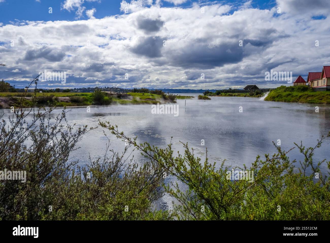 Rotorua Lake and Houses, Whakarewarewa Area, Neuseeland. Rotorua Lake und Häuser, Neuseeland Stockfoto
