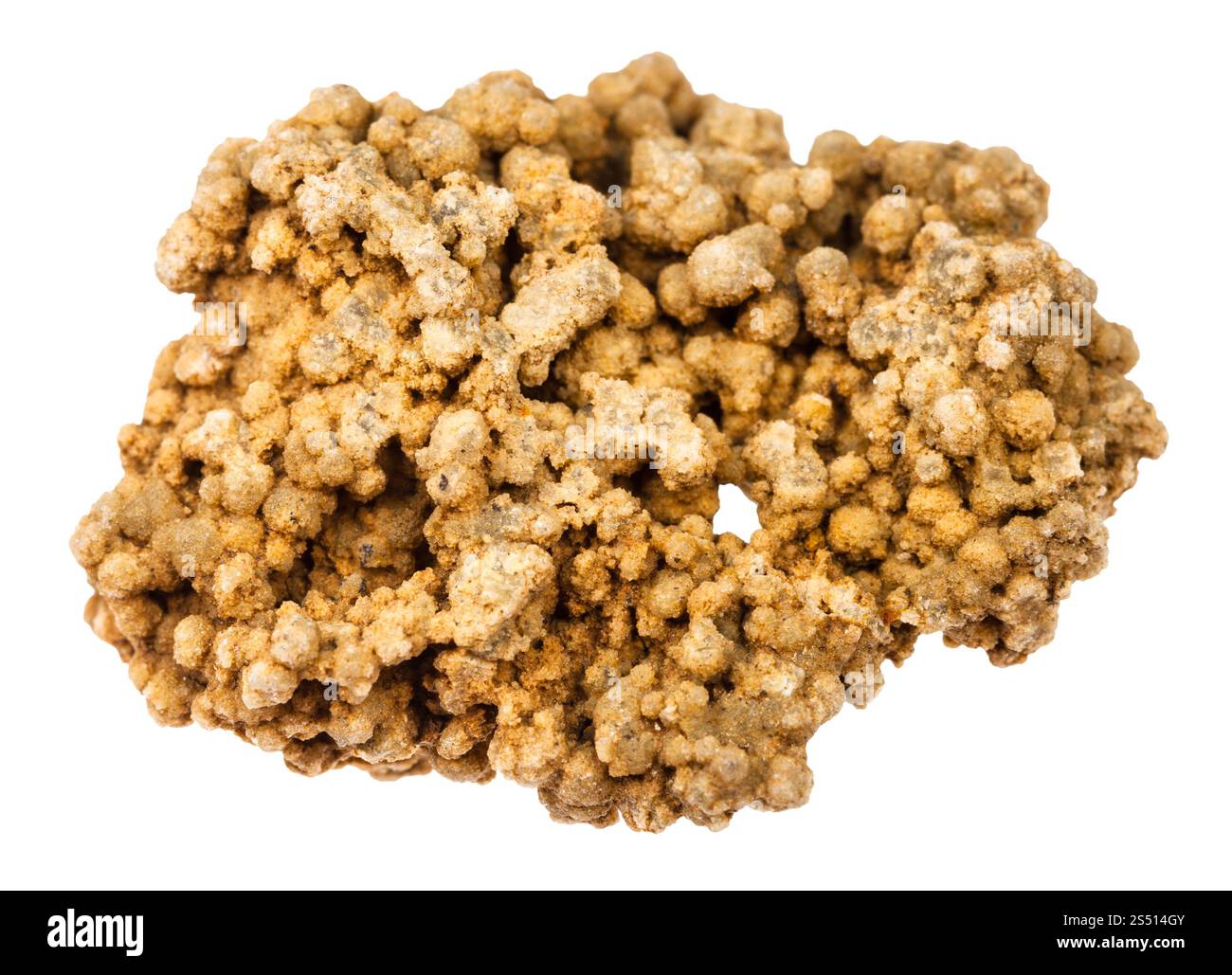 Makroaufnahmen von natürlichem Mineralgesteinsproben - rauer Trommelstein aus Chalcedonstein isoliert auf weißem Hintergrund aus der Region Lipovka, Ural, Stockfoto