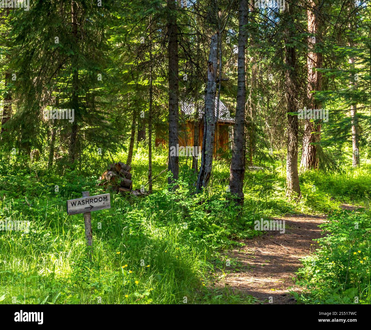 Ruhiger Waldweg, der zu einer versteckten rustikalen Hütte mit sonnendurchflutetem Grün führt, Eagle Cap Wilderness, Oregon Stockfoto