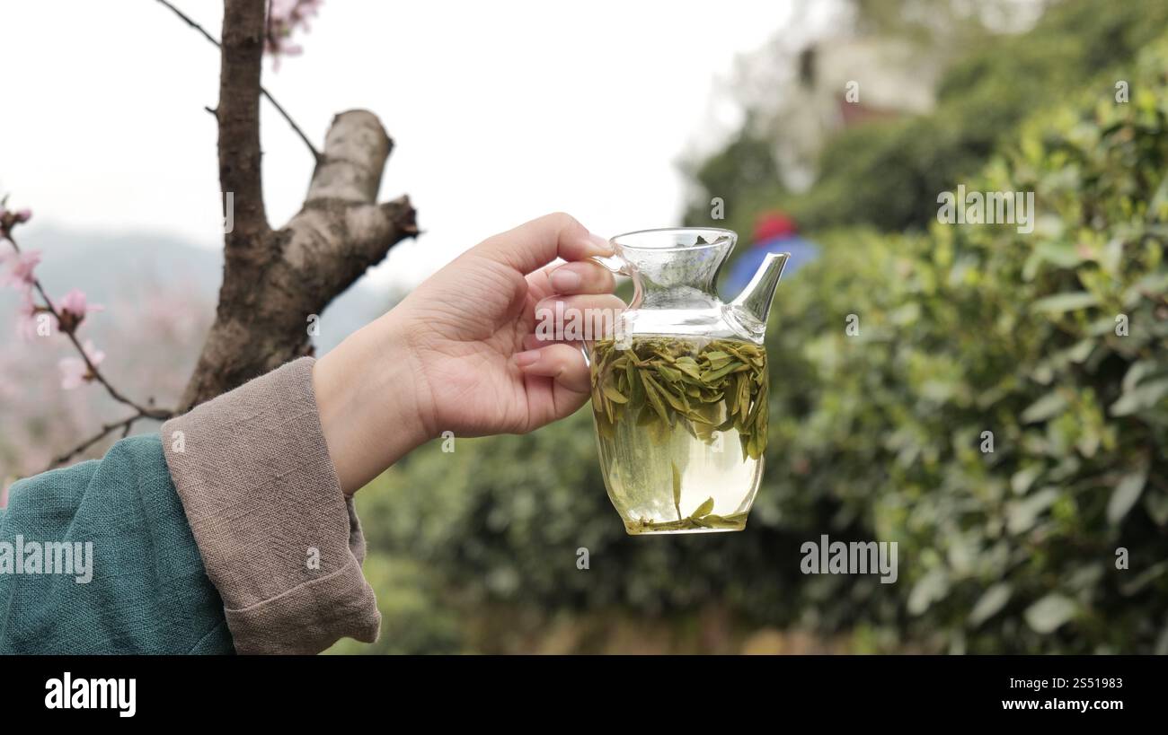 Glasbecher leckeren longjing Grüntee auf dem Tisch, Nahaufnahme, Hangzhou China. Stockfoto