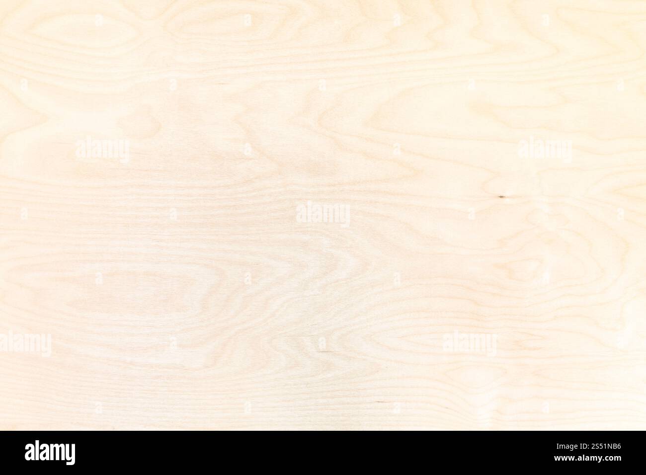 Leere Holz- Hintergrund aus Sperrholz Birke natur Stockfoto