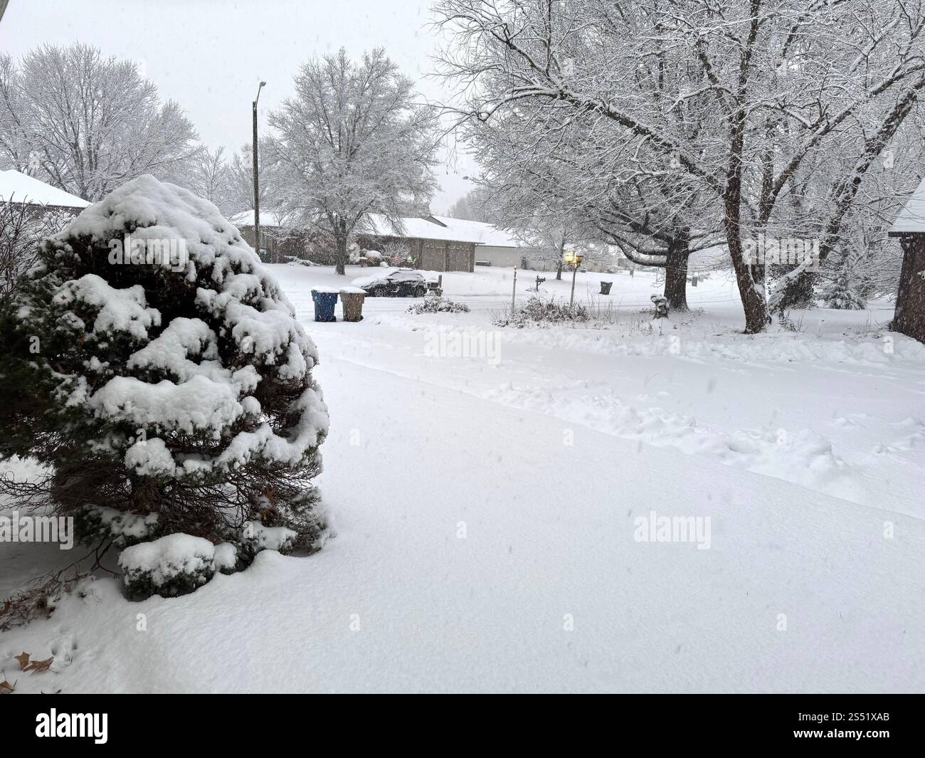 Heftiger Schnee trifft auf Wichita, Kansas, die Gegenstände und Bäume beschichtet. Zeigt eine Wohnstraße und ein Viertel. Stockfoto