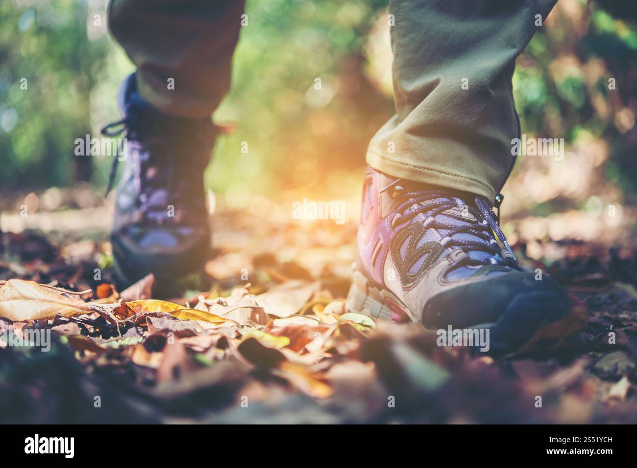 Nahaufnahme von Abenteuer Frau Füße Spaziergang auf einem Bergpfad. Stockfoto