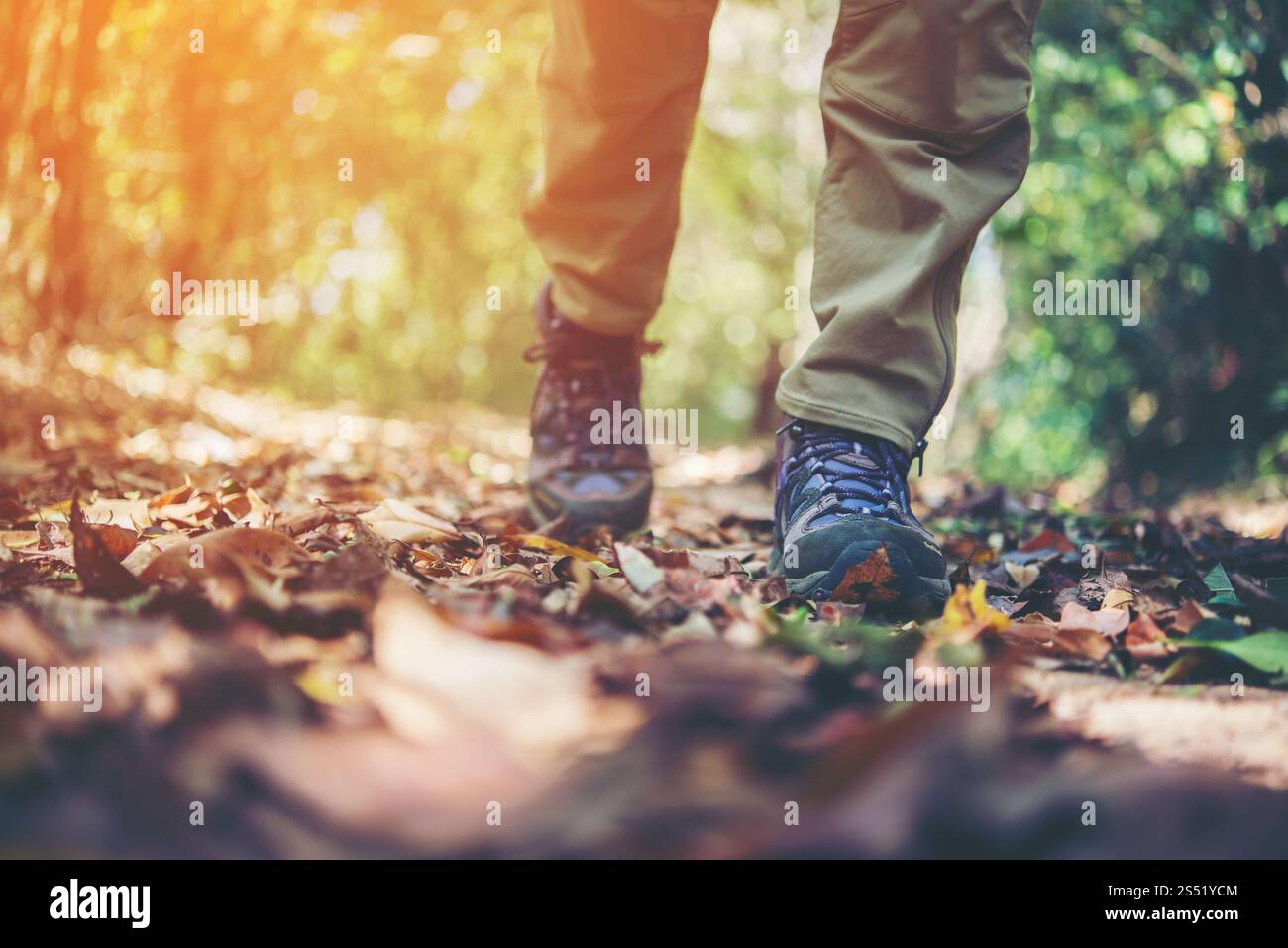 Nahaufnahme von Abenteuer Frau Füße Spaziergang auf einem Bergpfad. Stockfoto
