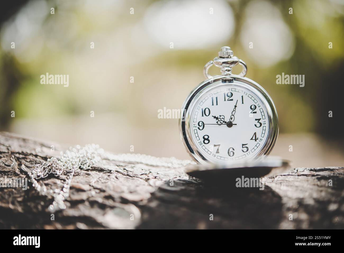 Nahaufnahme von taschenuhr auf Ast außerhalb. Stockfoto