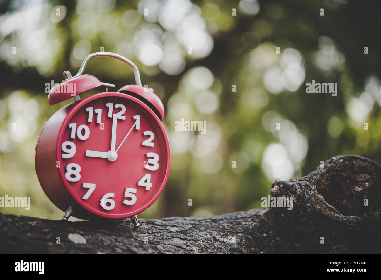 Nahaufnahme von Wecker auf Ast außerhalb. Stockfoto