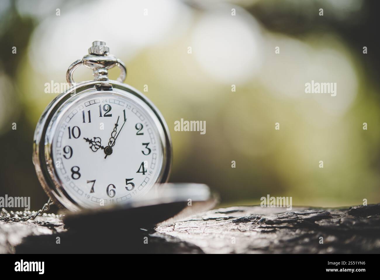 Nahaufnahme von taschenuhr auf Ast außerhalb. Stockfoto