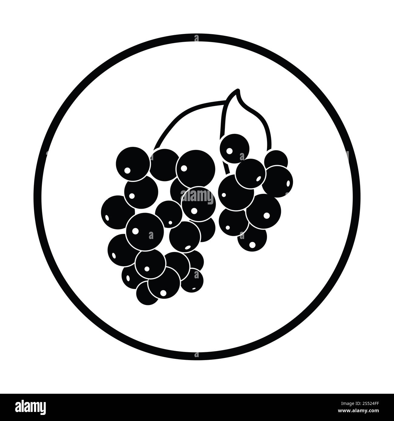 Ikone der schwarzen Johannisbeere. Dünnen Kreis Design. Vektor-Illustration. Stockfoto