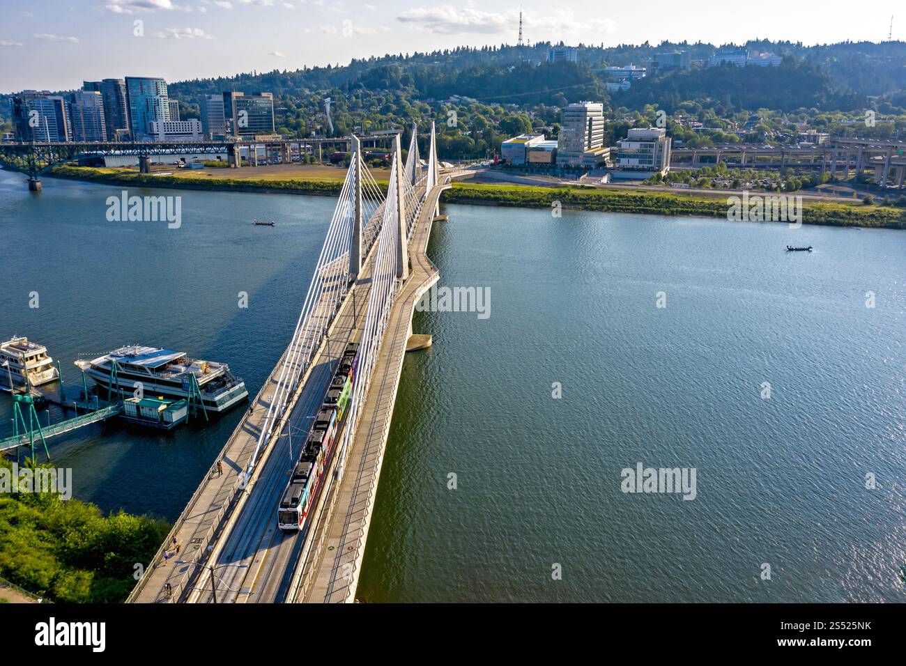 Moderne, mit Kabel überdachte Tilikum Bridge über einen ruhigen Willamette River an einem hellen Sommertag in Portland, Oregon Stockfoto