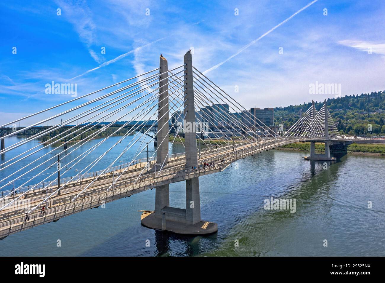 Moderne, mit Kabel überdachte Tilikum Bridge über einen ruhigen Willamette River an einem hellen Sommertag in Portland, Oregon Stockfoto
