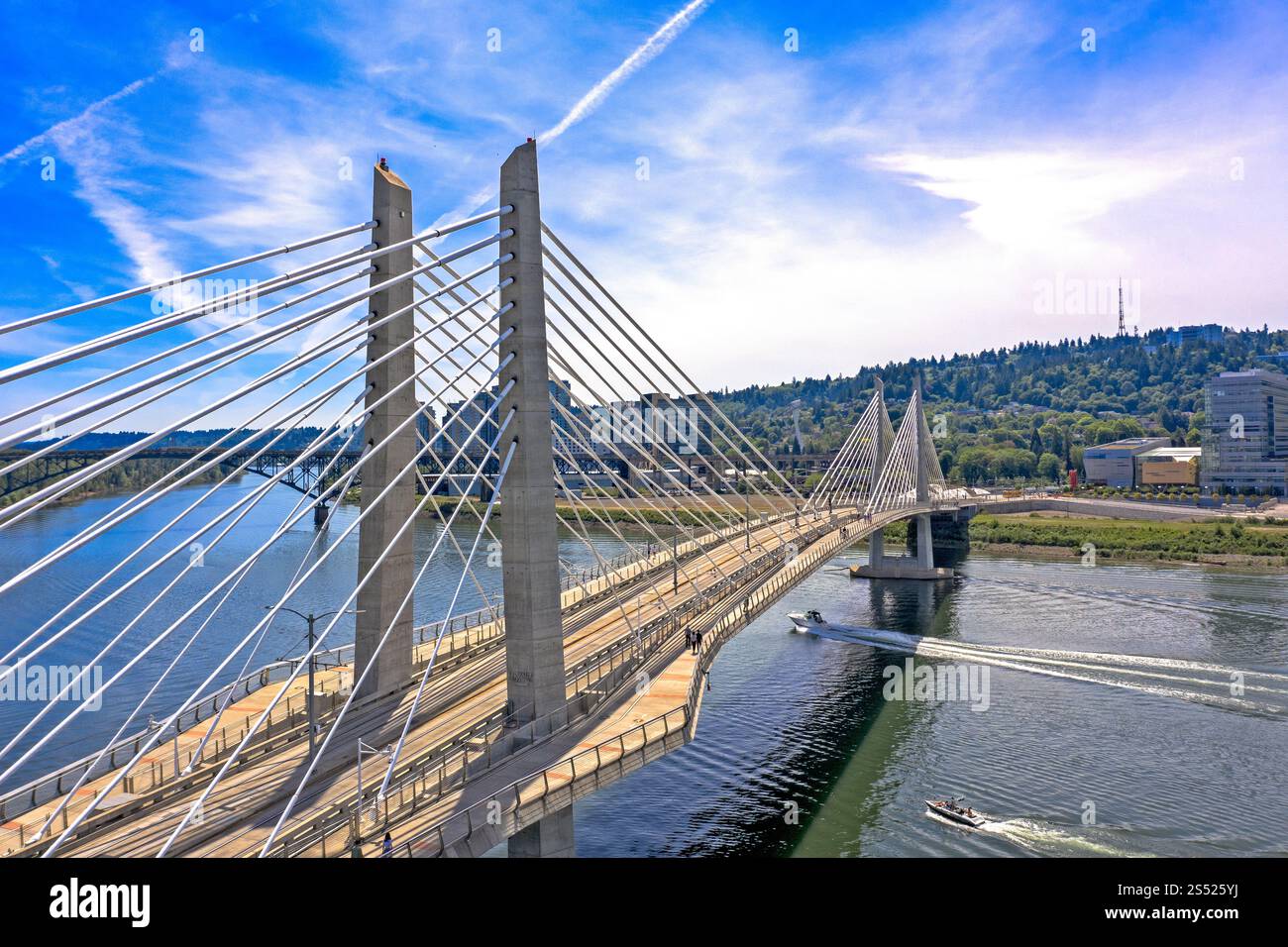 Moderne, mit Kabel überdachte Tilikum Bridge über einen ruhigen Willamette River an einem hellen Sommertag in Portland, Oregon Stockfoto