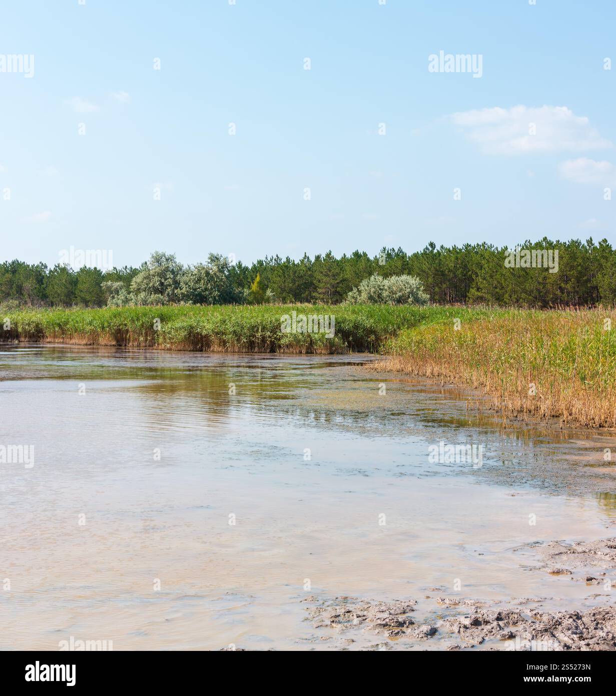 Sommer Pryschukove dunkel braun-rote Jod See mit einer therapeutischen Wirkung durch den hohen Gehalt an Jod (Kherson, Ukraine). Stockfoto
