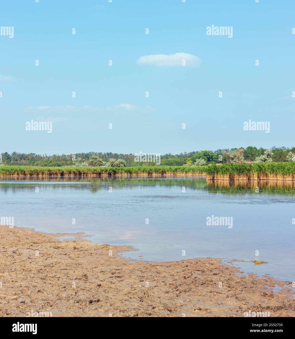 Sommer Pryschukove blaue See Landschaft (Region von Kherson, Ukraine). Stockfoto