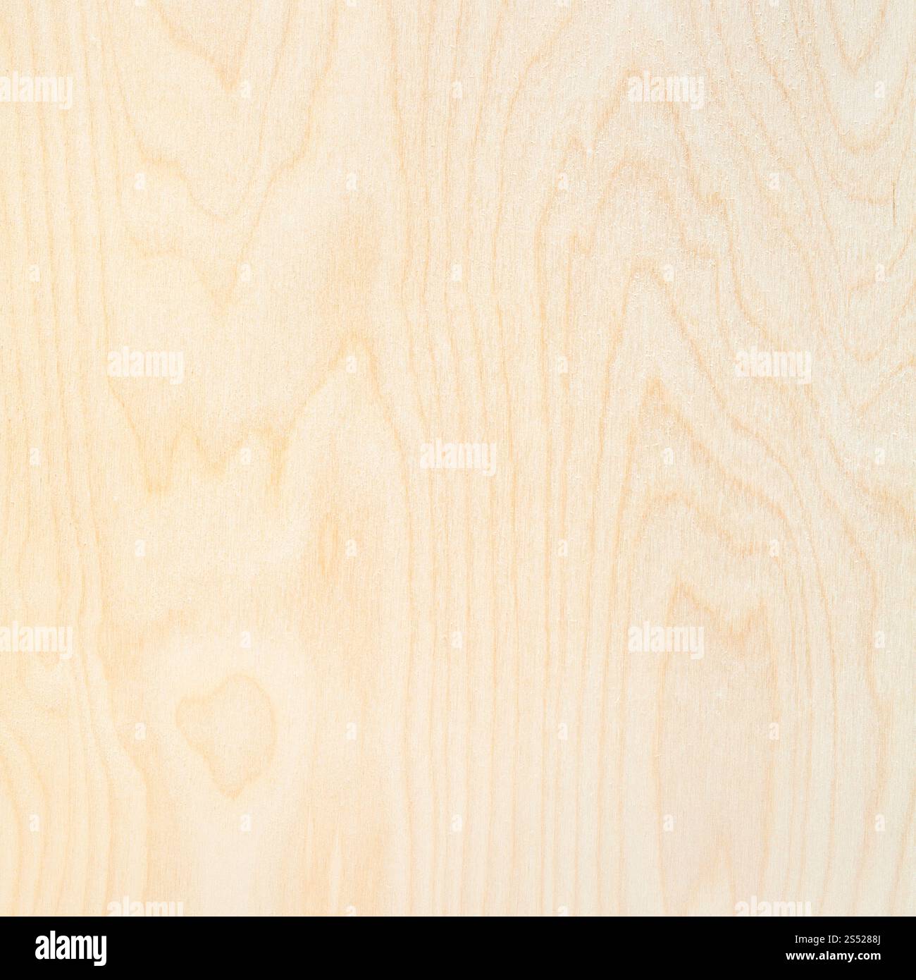 Holz- quadratische Hintergrund aus natürlichen Birke Sperrholz Stockfoto